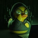 The duck weighs in