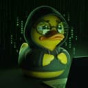 The duck weighs in